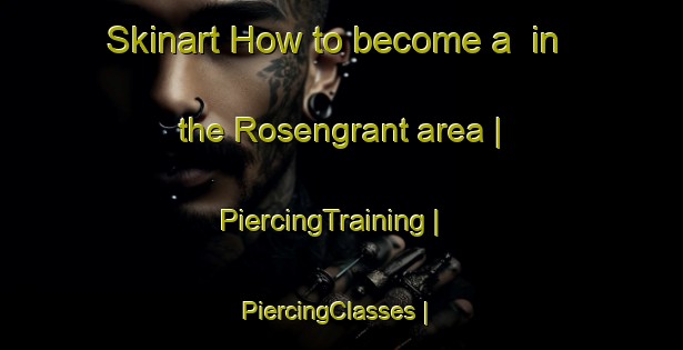 Skinart How to become a  in the Rosengrant area | PiercingTraining | PiercingClasses | SkinartTraining-United States